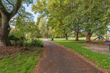 Fototapeta na wymiar Public park green foliage and grass Oregon.
