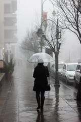 Girl Umbrella Fog