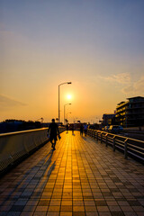 【神奈川県 江ノ島】夕日に照らされた風景