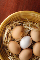 有色卵と白い卵