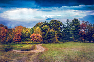 Obraz premium autumn landscape with trees and sky