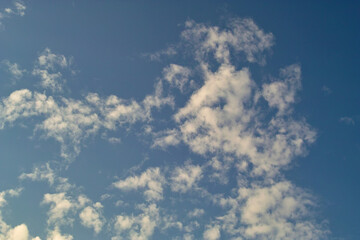 ひつじ雲