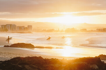 Surfers sunset at snapper rocks, Gold coast - obrazy, fototapety, plakaty