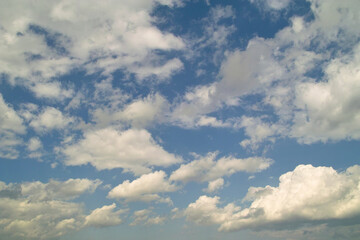 Obraz premium ひつじ雲