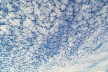 いわし雲