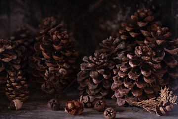 A wintery dark background with brown pinecones