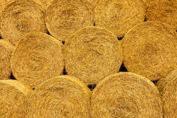 Close up rolls of straw bales stacked up