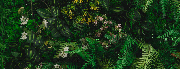 Panele Szklane  Zielone liście Monstera lub Monstera Deliciosa w ciemnych odcieniach (Monstera, palma, guma, sosna, paproć ptasie gniazdo), tło lub zielone, liściaste wzory lasów tropikalnych sosny dla kreatywnych elementów projektu.