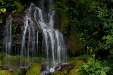 Fototapeta na wymiar 美しい水の流れを見せる滝とその脇に咲く黄色い花（オタカラコウ）