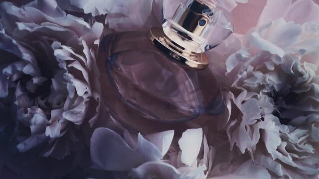 Purple perfume bottle with peony flowers, chic fragrance scent as luxury cosmetic, fashion and beauty product background, stock footage