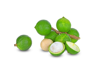 Macadamia nuts fresh isolated on white background