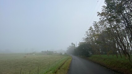 Fototapeta na wymiar 霧の濃い朝の田園風景。田舎暮らし、地方移住、スローライフ、環境イメージ