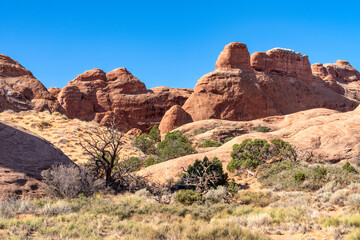 Fototapeta na wymiar Desert landscape - Arches National Park