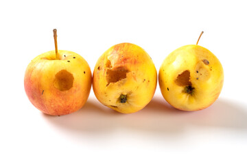 rotten apples bited by insect on a white background