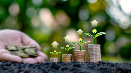 Small green trees growing on coin piles including rising arrows, ideas for saving money and growing...