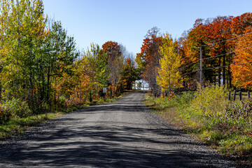 routes et paysages d'automne, tracteur et citrouilles
fall roads and sceneries, farm equipment and pumkins