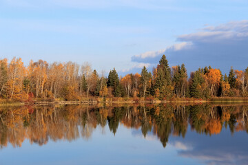 autumn trees reflected in lake