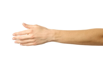 Giving hand for handshake. Woman hand gesturing isolated on white - obrazy, fototapety, plakaty