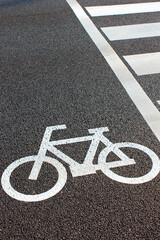 横断歩道の横の自転車道