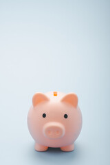 Front view of pink piggy bank isolated on Light blue background. Soft focus