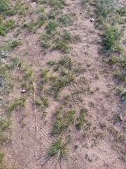 road in the field