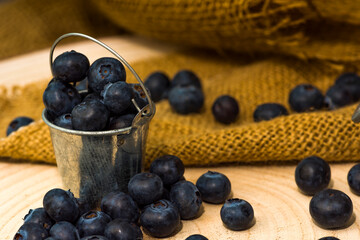 Blueberry antioxidant organic superfood in a bowl concept for healthy eating and nutrition