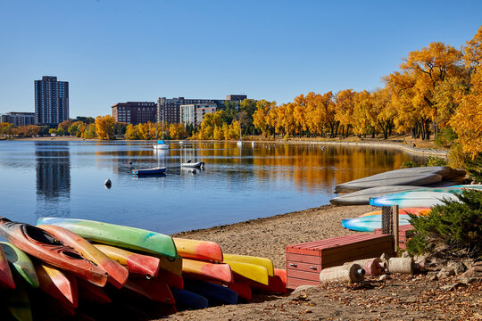 Leaves changing colors and colorful boats on the shore of Bde Maka Ska lake in Minneapolis Minnesota