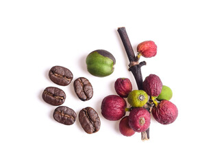 Coffee beans isolated on white background