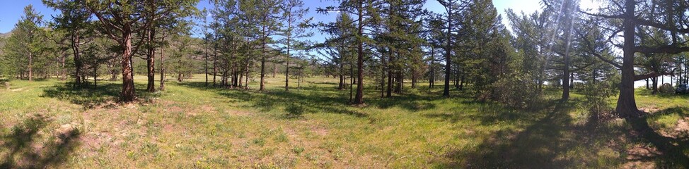 Nature on the coast of Baikal