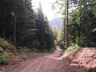 Photos from the hike to Pshekha-Su