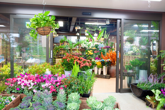 花屋images Browse 6 241 Stock Photos Vectors And Video Adobe Stock 花屋images Browse 6 241 Stock Photos Vectors And Video Adobe Stock