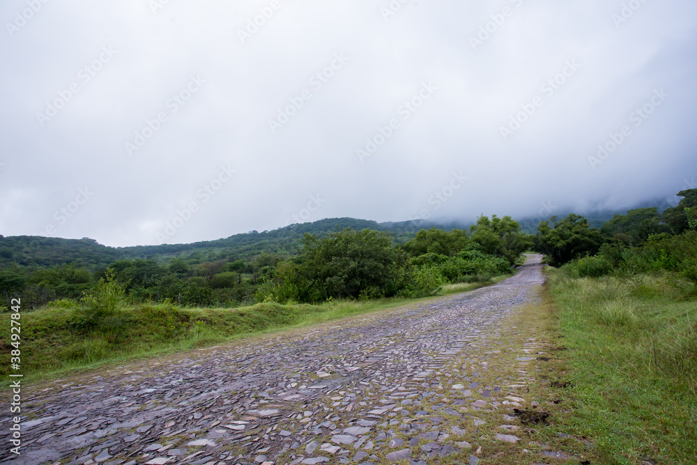 Poster carretera de empedrado con vegetacion verde y neblina