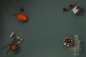 秋, 秋色,  秋背景