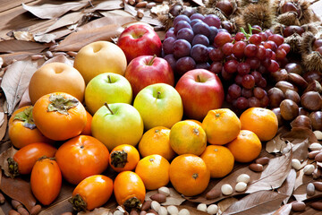 秋の果物集合写真