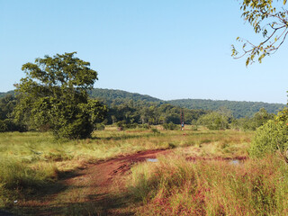 Obraz premium Landscape of natural red soil road in middle of green grass