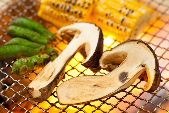 焼き松茸 Photos Royalty Free Images Graphics Vectors Videos Adobe Stock 焼き松茸 Photos Royalty Free Images Graphics Vectors Videos Adobe Stock