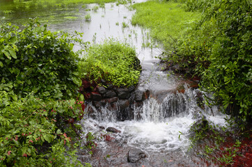 Landscape of flowing water through farm