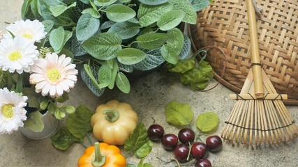 Agricultural products such as leafy greens, pumpkins, cherries with vegetable basket and gardening equipment.