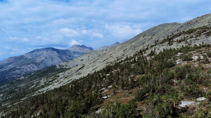 Fototapeta na wymiar Landscape of scenic mountain forest background and peak of blue rock range.