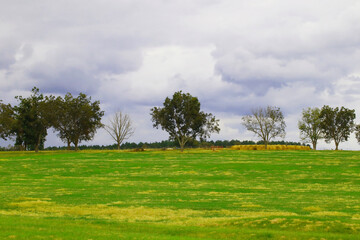 Beautiful green pastures on a cloudy day