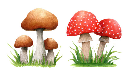 Set of autumn compositions with forest mushrooms in the grass. Boletus and amanita isolated on white background. Watercolor illustration. Perfect for greeting cards, covers, prints, logo, patterns.