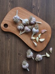 한국의 신선한 유기농 채소 마늘