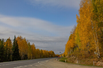 The road through the autumn forests and fields. The two-lane highway runs through golden autumn forests and fields.