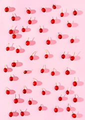 Red berries on pink background