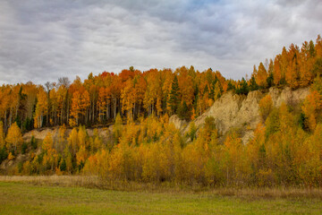 Fototapeta premium The tree-covered hills are golden. Autumn landscape in a hilly area