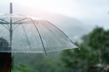 Umbrella in the rain in green nature background