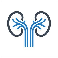 Nephrology icon
