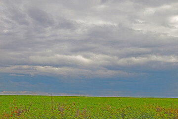 Fototapeta na wymiar Beautiful green farm land on a cloudy day