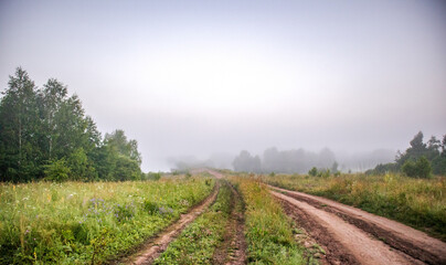 Obraz premium road in the field