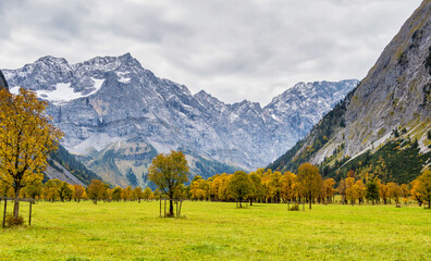Fototapeta na wymiar Maple trees at Ahornboden, Karwendel mountains, Tyrol, Austria